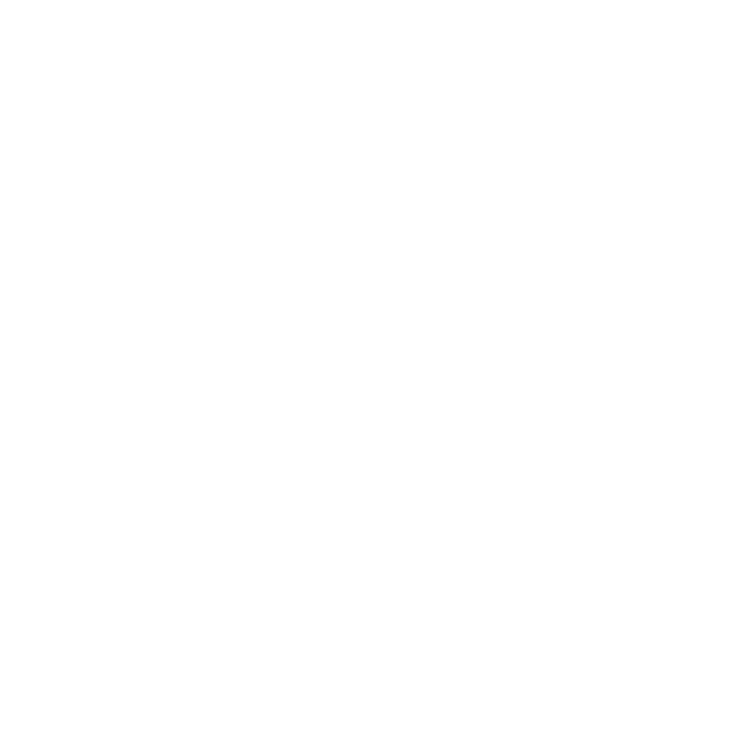 Dennis Rapp Logo